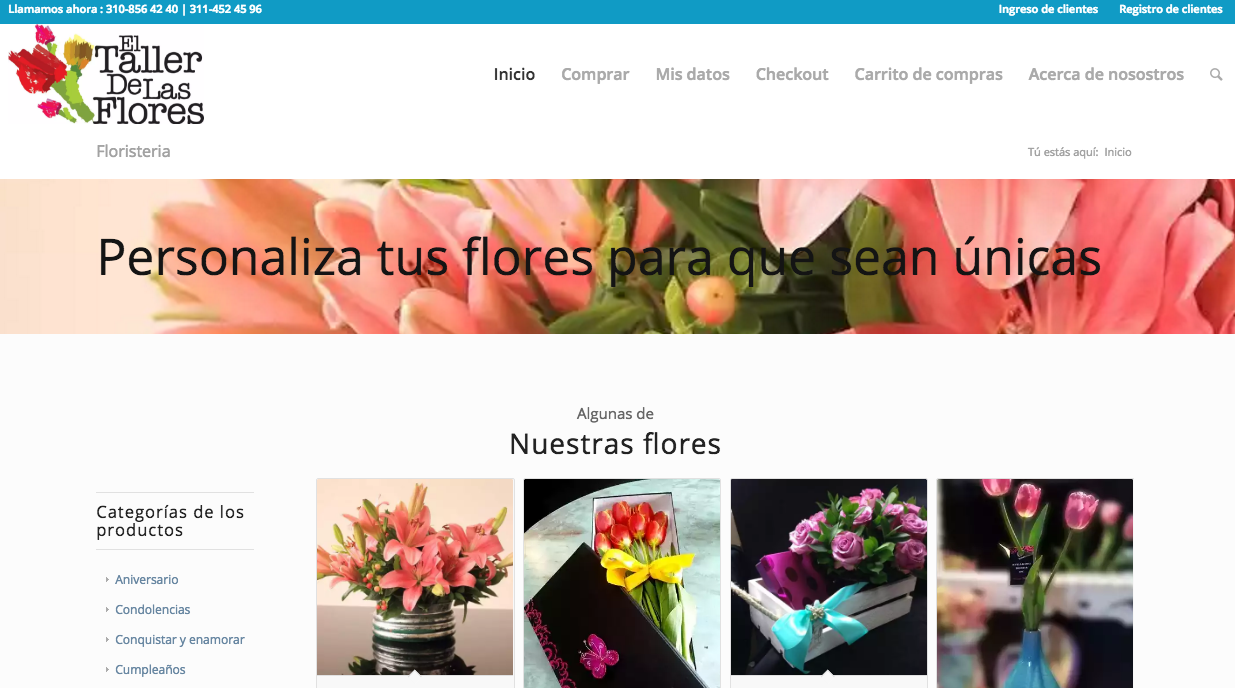 pagina web www.eltallerdelasflores.co